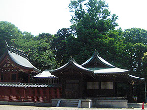 峯ヶ岡八幡神社の社叢